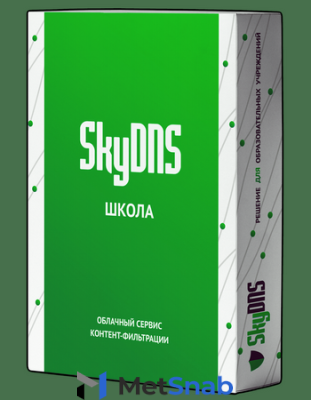 SkyDNS Школа. 80 лицензий на 1 год