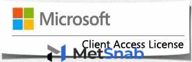 ПО Microsoft Win Rmt Dsktp Svcs CAL 2019 English MLP Device CAL