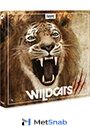 BOOM Library Wildcats Арт.