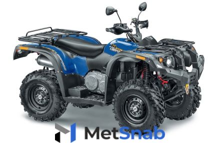 Квадроцикл Stels ATV 500YS Leopard Синий