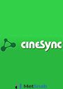 CineSync Standard 2 Users for 12 Months Арт.