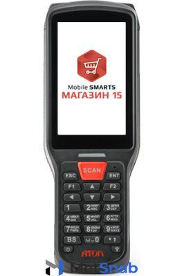 Комплект Smart Lite «Магазин 15, расширенный с ЕГАИС» (RTL15BE-OEM-SL)