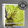 BOOM Library Deciduous Forests Stereo Version Арт.