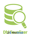 DbVis Software DbVisualizer Pro License with Basic Support 1 user Арт.