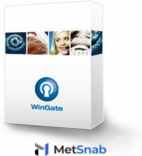 WinGate Professional 100 Concurrent Users