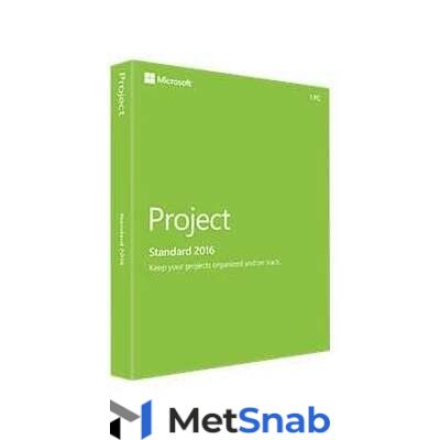 MS Project Standard 2019