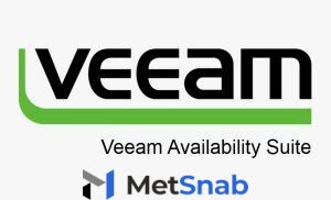 Право на использование (электронно) Veeam Availability Suite Enterprise (Incl. Backup & Replication Enterprise + ONE).Incl. 1st