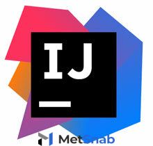 JetBrains IntelliJ IDEA Commercial annual subscription