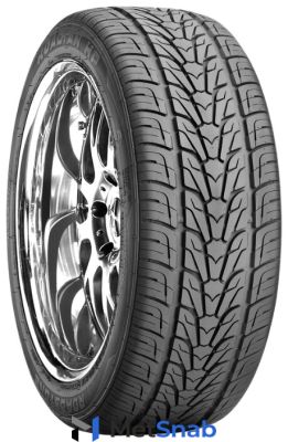 Автомобильная шина Roadstone ROADIAN HP 255/30 R22 95V летняя