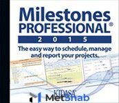 Kidasa Software Milestones Professional