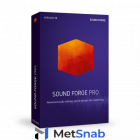 SOUND FORGE Pro 13 Suite - ESD - Site license 05-99