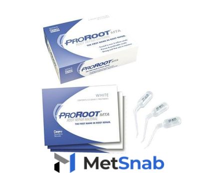 ProRoot MTA (прорут)