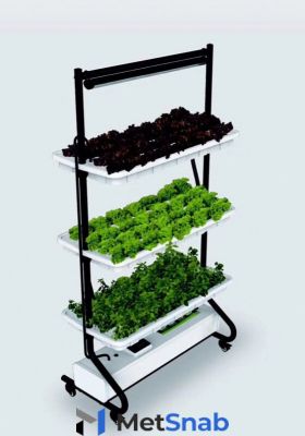Growsvet Hydro Salat 3 + light