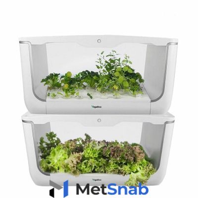 Домашняя садовая ферма VegeBox "H-Box" 2 уровня