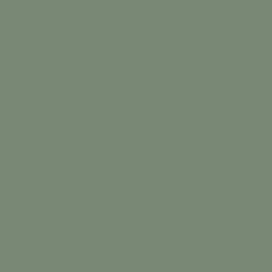 Краска Sherwin-Williams SW 6193 Privilege Green A-100 Flat 19 л (на 152-190 кв.м в 1 слой, акриловая, антибактериальная, для фасада) матовая