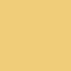 Краска Sherwin-Williams SW 9022 Yellow Bird SherLastic Elastomeric 19 л (на 118-138 кв.м в 1 слой, акриловая, для фасада) полуматовая