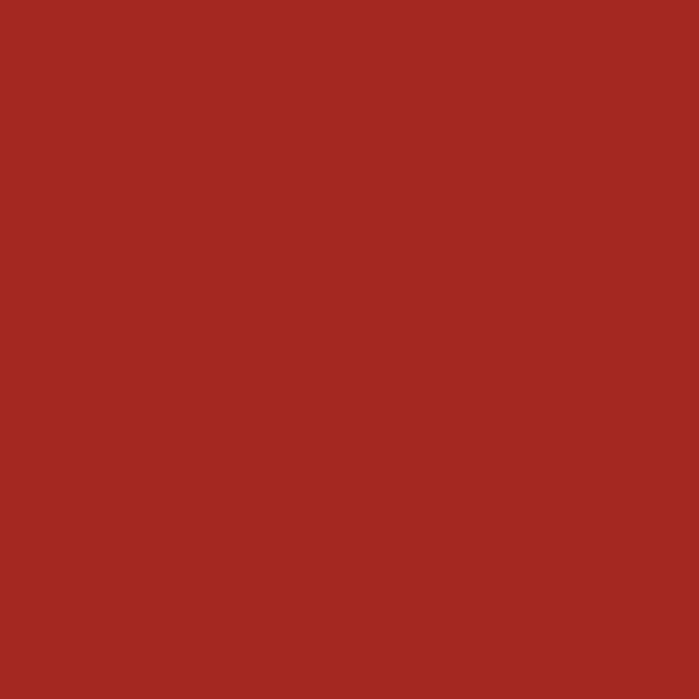 Краска Bradite цвет Flame red RAL 3000 Pliolite Masonry 10 л