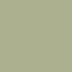 Краска Sherwin-Williams SW 0013 Majolica Green Super Paint Flat 19 л (на 152-190 кв.м в 1 слой, воднодисперсионная, акриловая, моющаяся, для стен и потолка) матовая