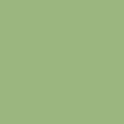 Краска Sherwin-Williams SW 6724 Mesclun Green Super Paint Flat 19 л (на 152-190 кв.м в 1 слой, воднодисперсионная, акриловая, моющаяся, для стен и потолка) матовая