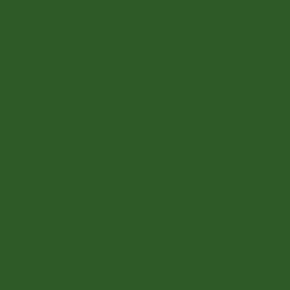 Краска Bradite цвет Leaf green RAL 6002 Pliolite Masonry 10 л