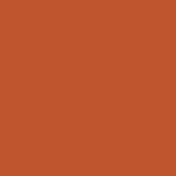 Краска Sherwin-Williams SW 6883 Raucous Orange Super Paint Flat 19 л (на 152-190 кв.м в 1 слой, воднодисперсионная, акриловая, моющаяся, для стен и потолка) матовая