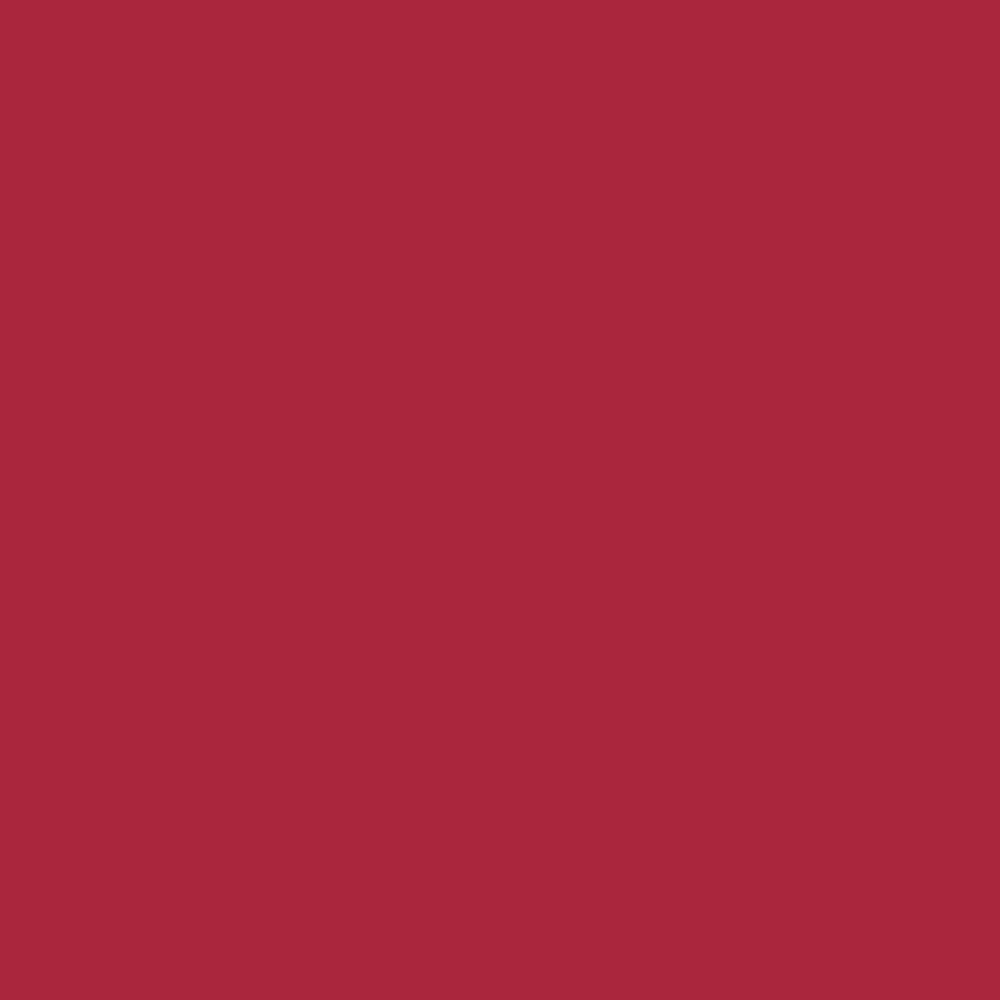 Краска Bradite цвет Raspberry red RAL 3027 Pliolite Masonry 10 л