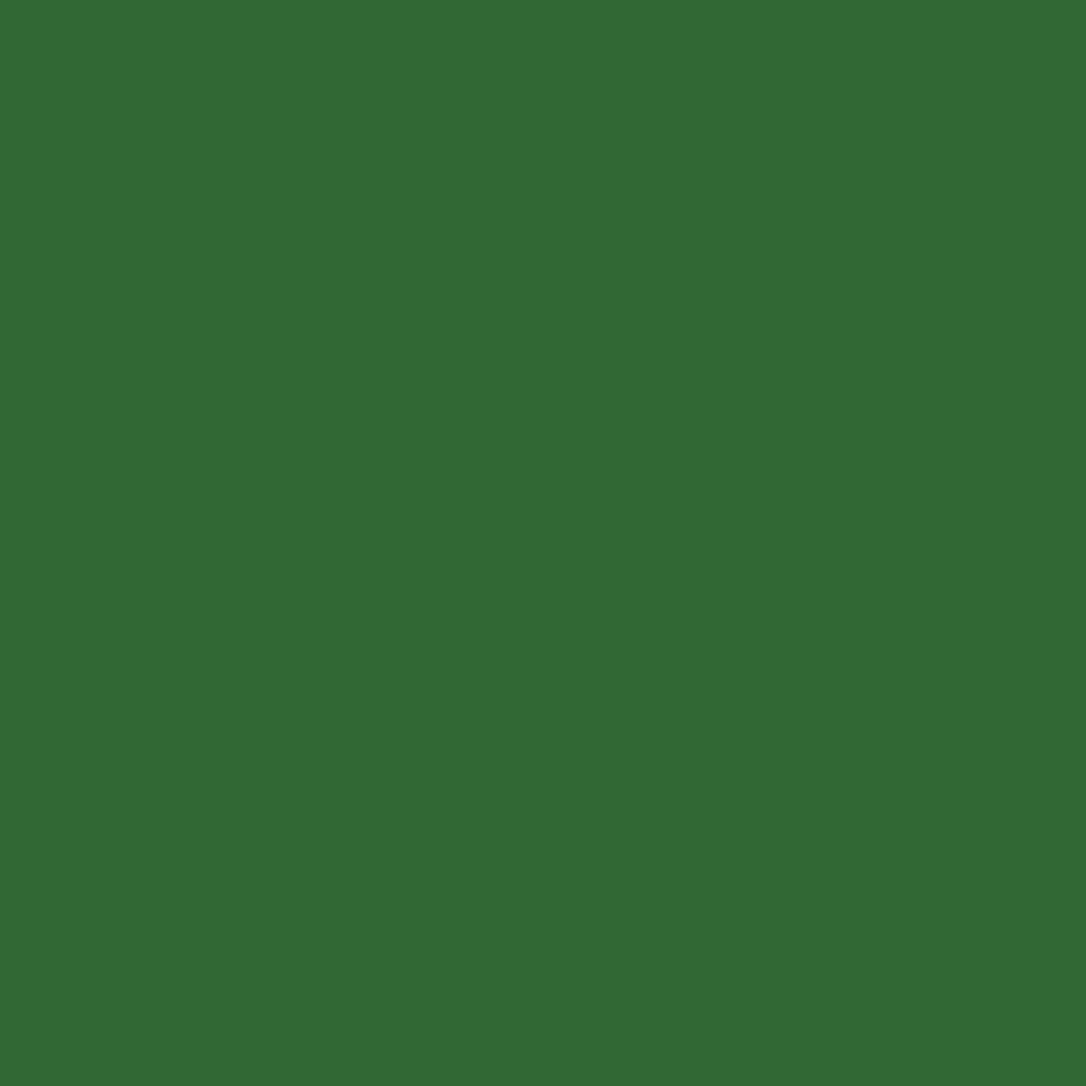 Краска Bradite цвет Emerald green RAL 6001 Pliolite Masonry 10 л
