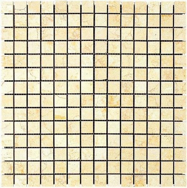 NATURAL Мозаика из мрамора M021-20P 30,5x30,5