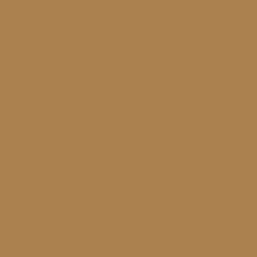 Краска Bradite цвет Brown beige RAL 1011 Pliolite Masonry 10 л
