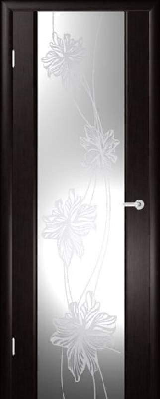Межкомнатная дверь Regidoors Vetro Стелла-2 Венге с зеркальным стеклом
