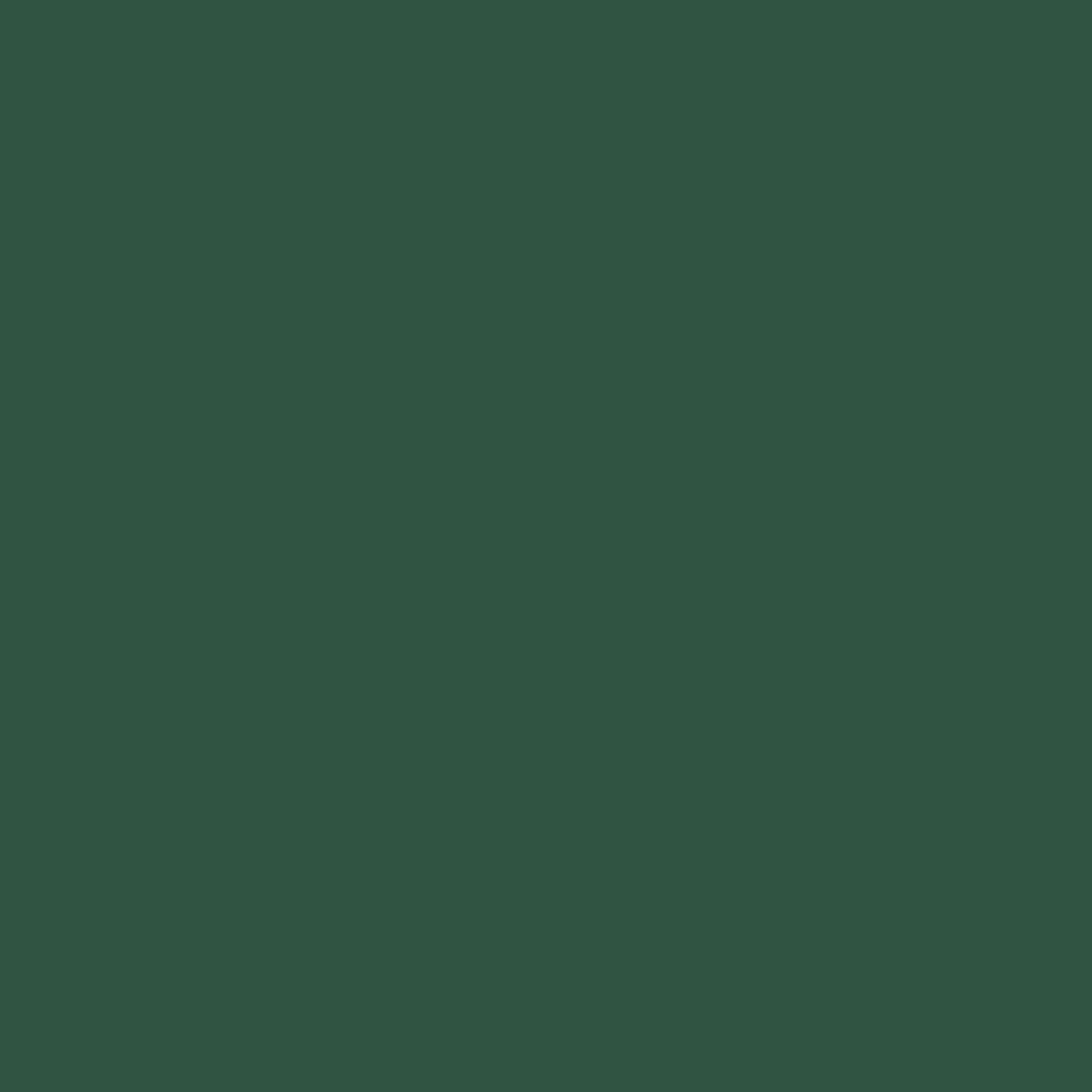 Краска Bradite цвет Pine green RAL 6028 Floor 10 л
