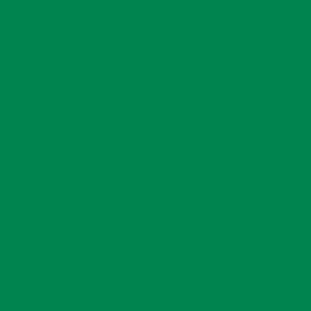 Краска Bradite цвет Traffic green RAL 6024 Pliolite Masonry 10 л