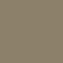 Краска Sherwin-Williams SW 6151 Quiver Tan A-100 Flat 19 л (на 152-190 кв.м в 1 слой, акриловая, антибактериальная, для фасада) матовая