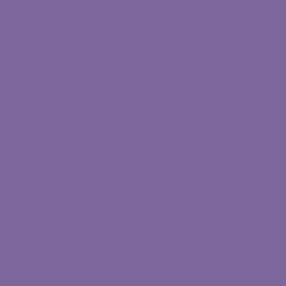 Краска Bradite цвет Blue lilac RAL 4005 Pliolite Masonry 10 л