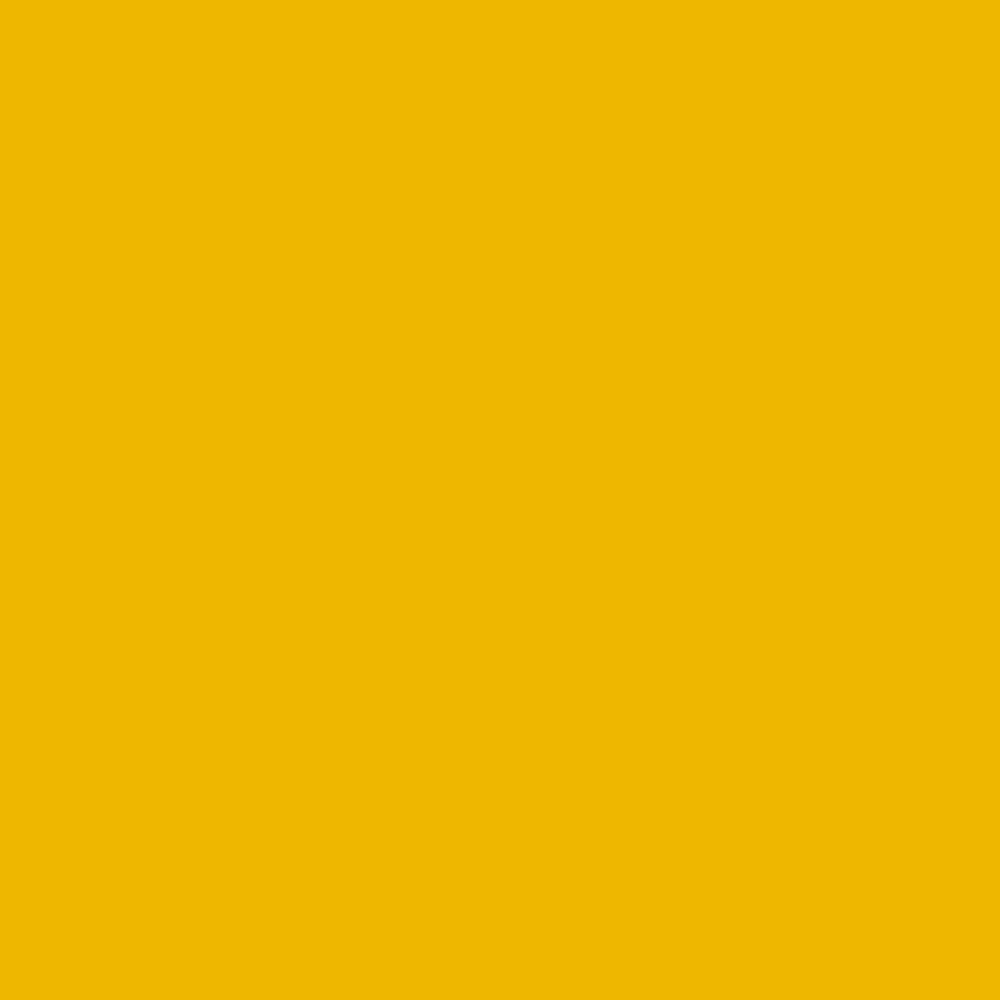 Краска Bradite цвет Rape yellow RAL 1021 Pliolite Masonry 10 л