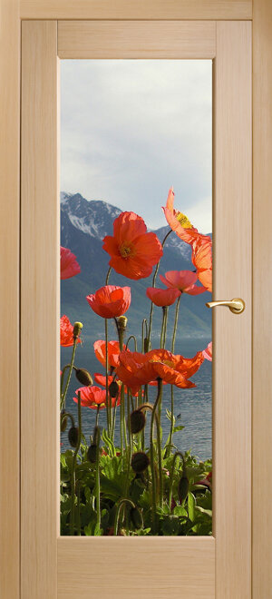 Оникс / Фортрез Межкомнатные двери шпон Техно фотопечать от производителя Цвет: анегри