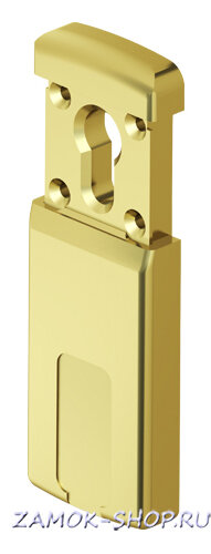 Броненакладка сдвижная магнитная Disec MG320 3W, 5 ключей, латунь
