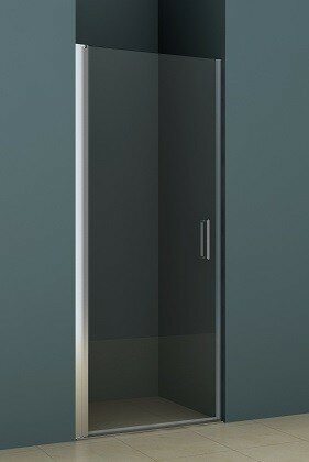 Душевая дверь «Riho» Novik Z101 100/200 прозрачная универсальная