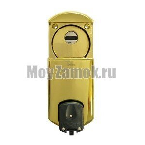 Цилиндровая броненакладка с магнитным ключом Disec MG-351-Mini bright brass