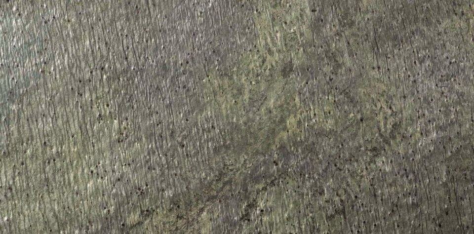 Керамическая плитка LAntic Colonial Natural Stone Delhi Pulido Bpt 30x60