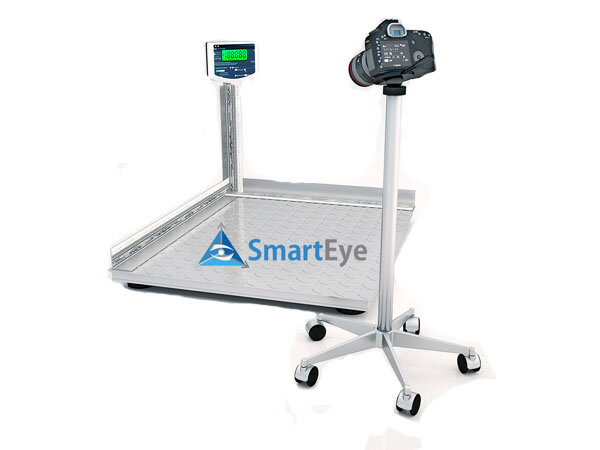 Автоматизированная система измерения габаритов SmartEye-LT SE-60-100x100x100-f