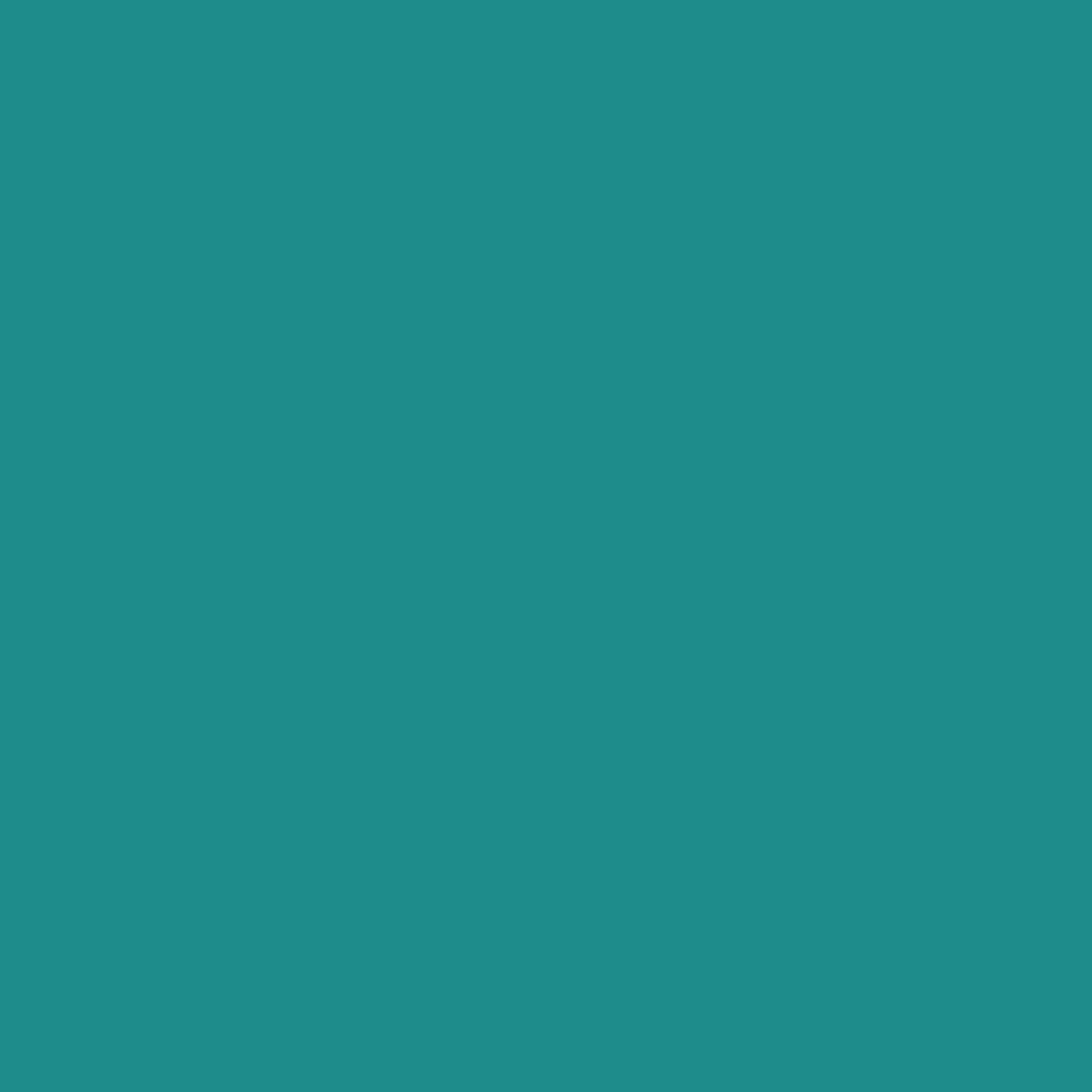 Краска Bradite цвет Turquoise blue RAL 5018 Pliolite Masonry 10 л