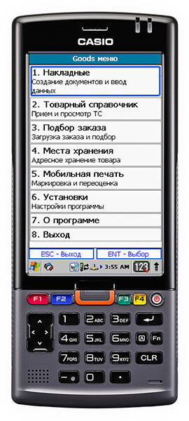 Терминал сбора данных (ТСД) Casio IT-G500, IT-G500-25E