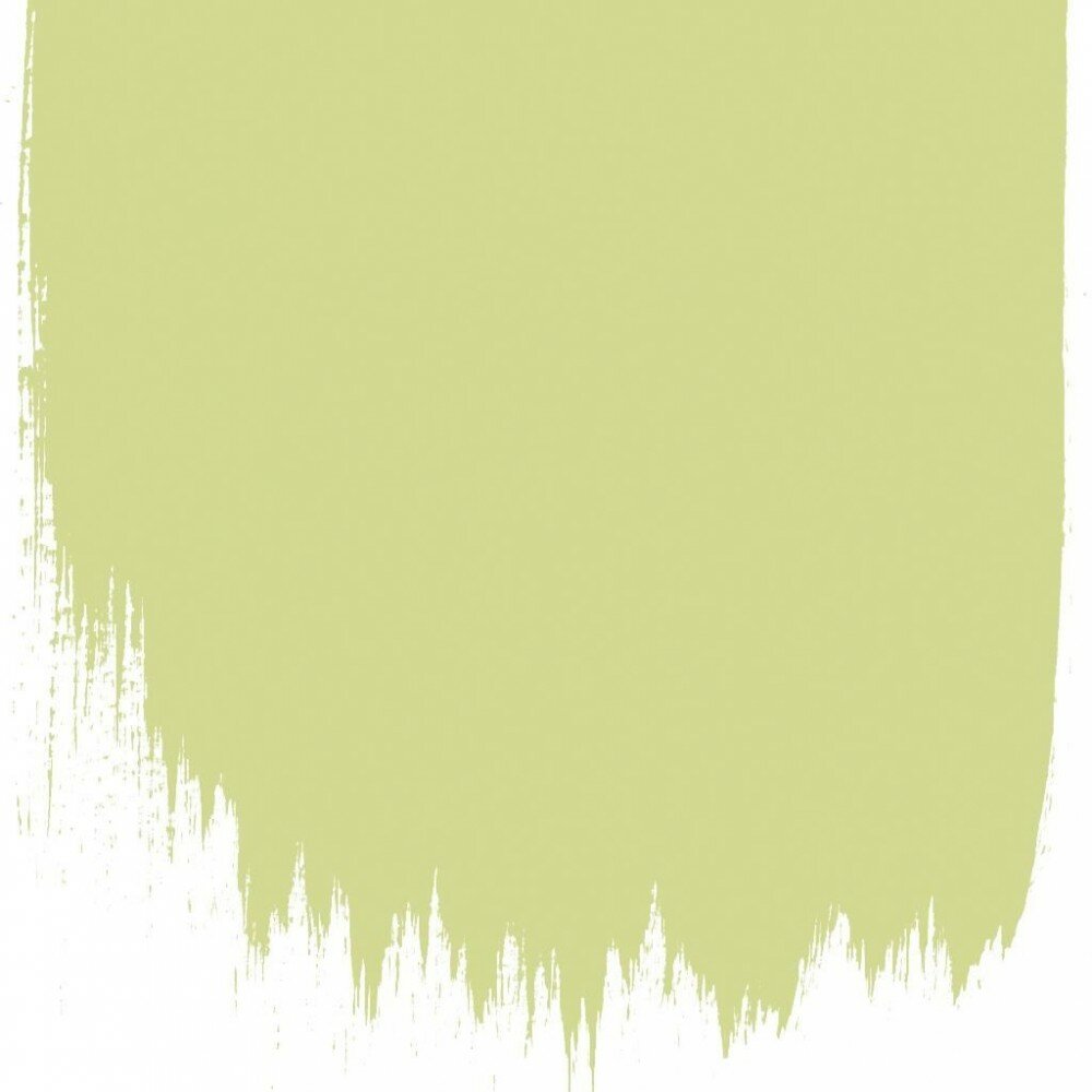 Краска Designers Guild цвет Trailing Willow 109 Perfect Eggshell 5 л