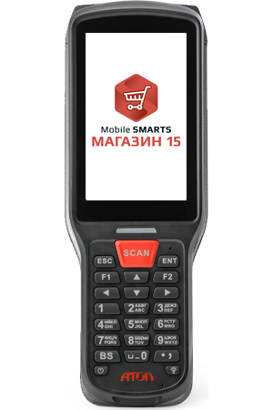 Комплект Smart Lite «Магазин 15, минимум» (RTL15M-OEM-SL)