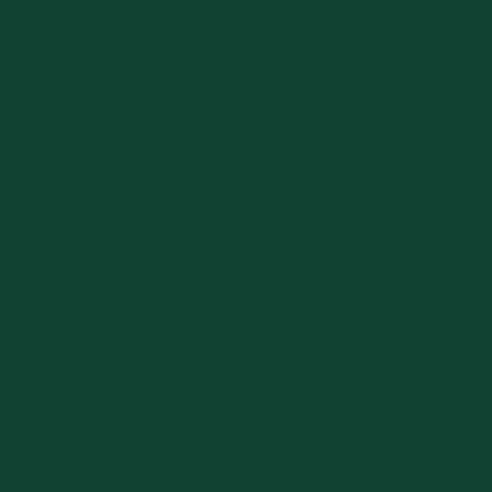 Краска Bradite цвет Moss green RAL 6005 Pliolite Masonry 10 л