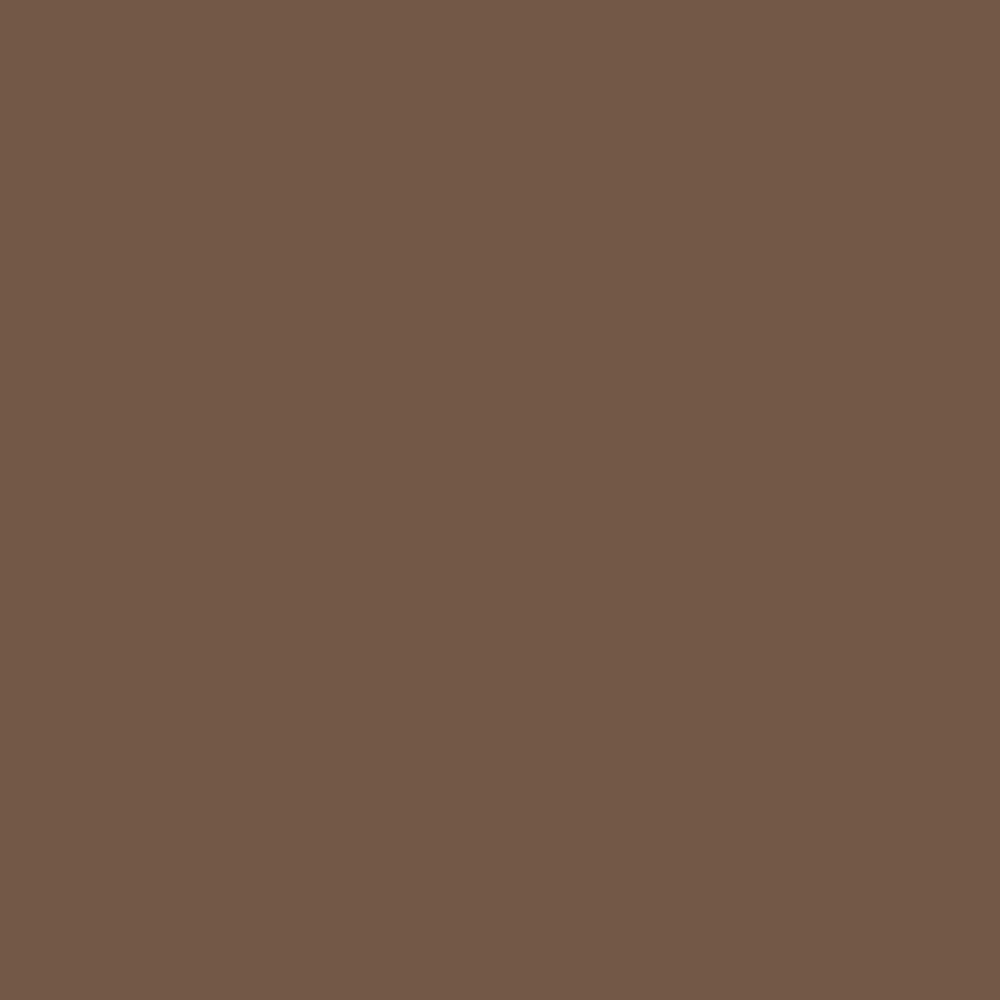 Краска Bradite цвет Pale brown RAL 8025 Floor 10 л