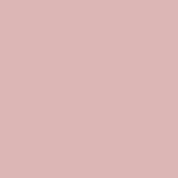 Краска Sherwin-Williams SW 6303 Rose Colored A-100 Flat 19 л (на 152-190 кв.м в 1 слой, акриловая, антибактериальная, для фасада) матовая