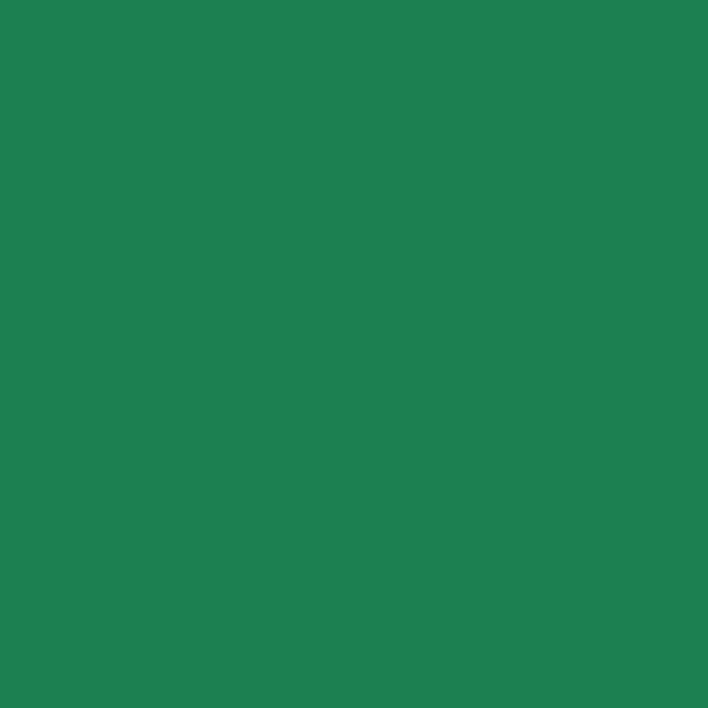 Краска Bradite цвет Signal green RAL 6032 Floor 10 л