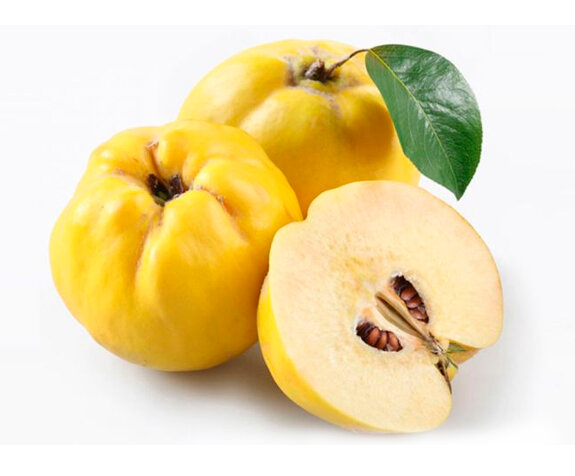 Айва крупноплодная Cydonia oblonga Golden Lemonка (5 лет)